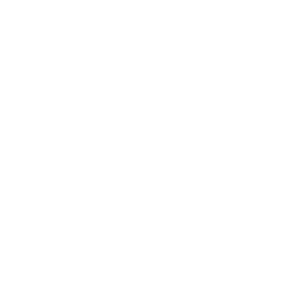 Indesign logo